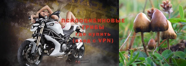 ALPHA-PVP Мегион