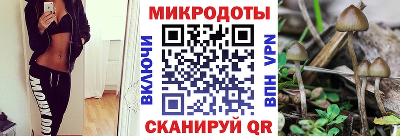 Галлюциногенные грибы прущие грибы  Петропавловск-Камчатский 
