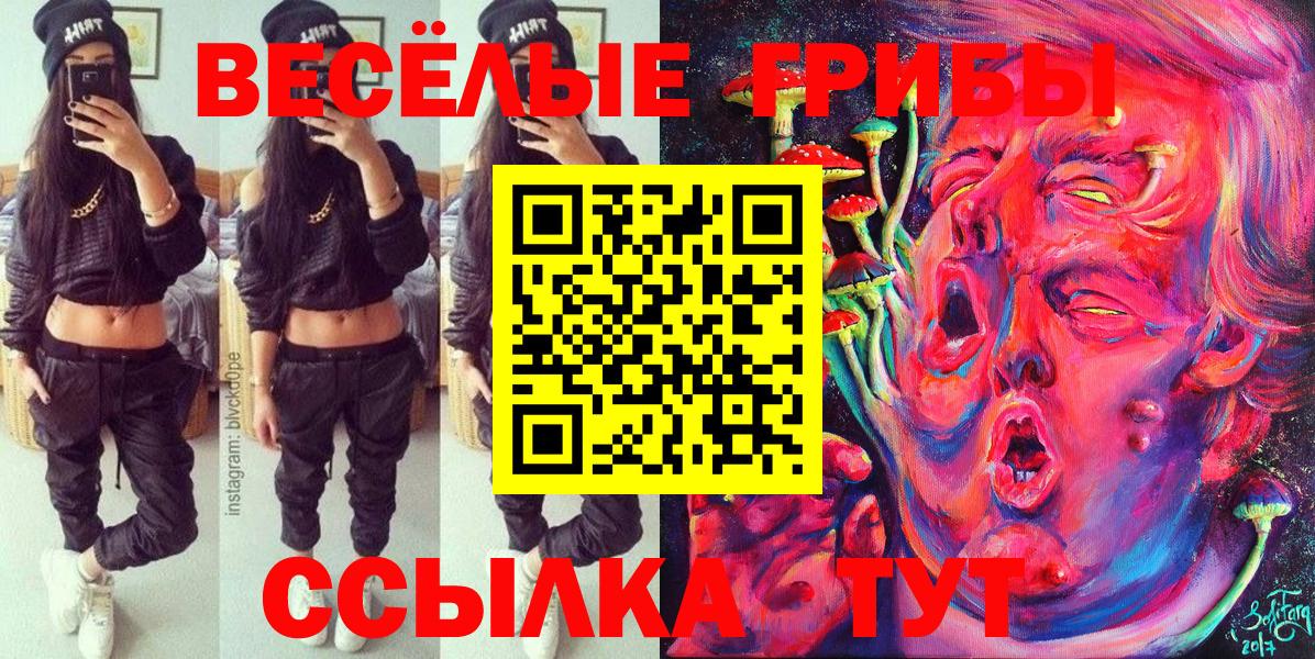 Петропавловск-Камчатский  закладка  Вход с VPN  Галлюциногенные грибы мицелий 