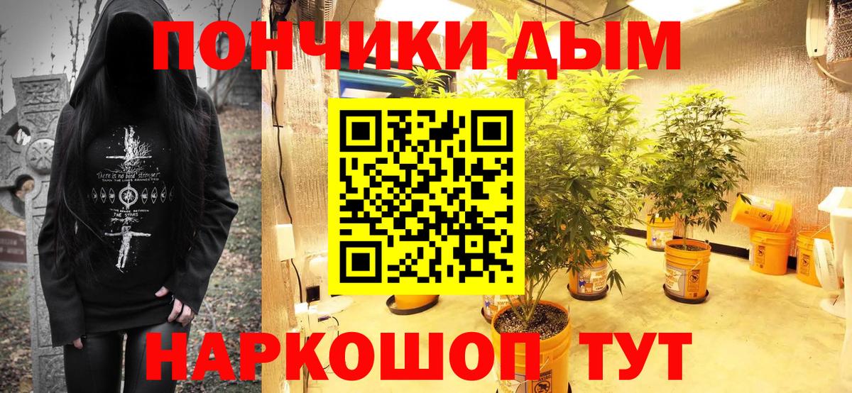 Конопля планчик Петропавловск-Камчатский